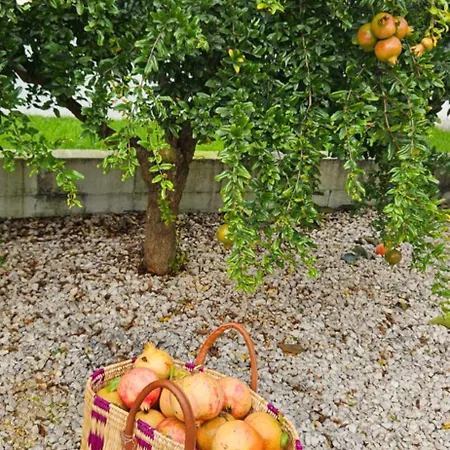 بيت للعطل Herdade Da Cova Da Onca